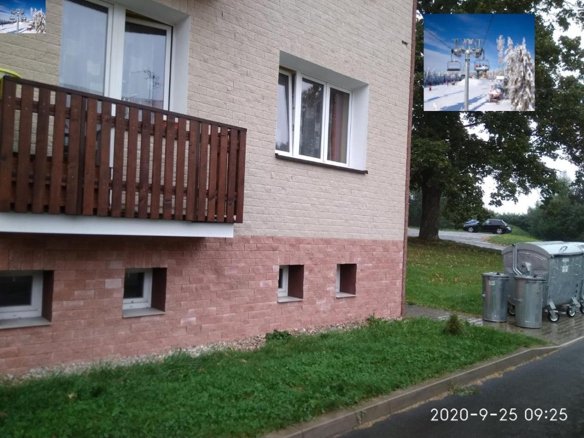 Plne Vybaveny 2+1Byt S Balkonem A Koji Pro Kola A Lyze. Rokytnice v Orlických Horách Exterior foto