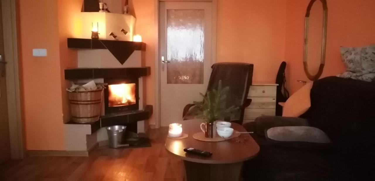 Plne Vybaveny 2+1Byt S Balkonem A Koji Pro Kola A Lyze. Rokytnice v Orlických Horách Exterior foto