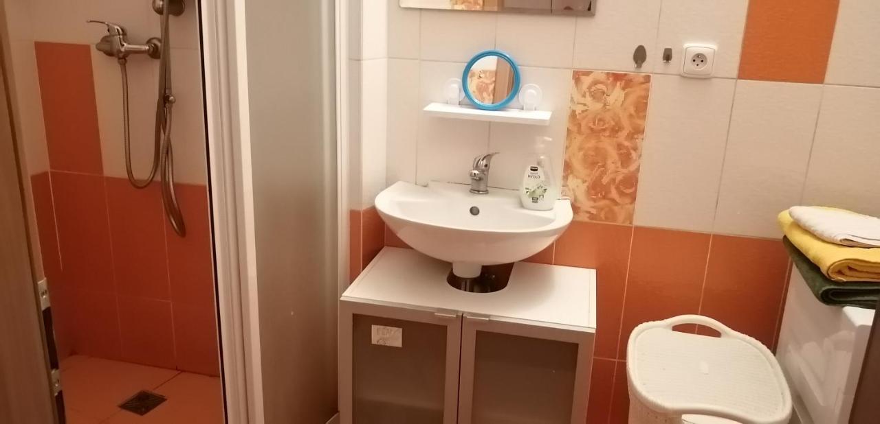Plne Vybaveny 2+1Byt S Balkonem A Koji Pro Kola A Lyze. Rokytnice v Orlických Horách Exterior foto