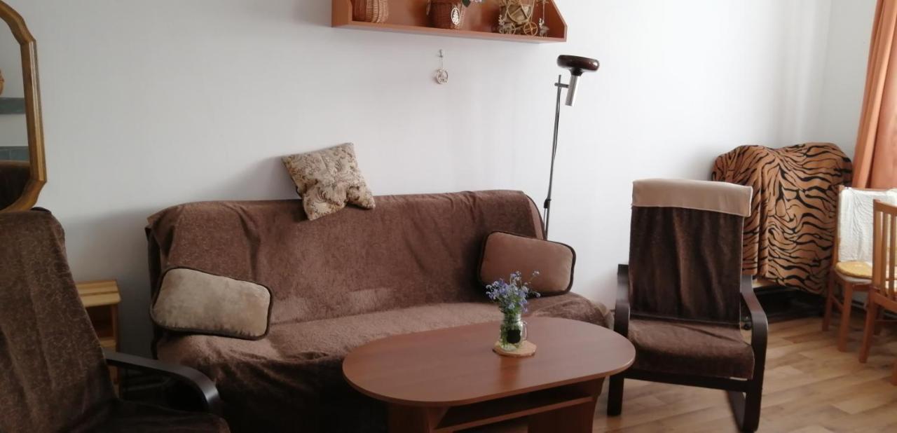 Plne Vybaveny 2+1Byt S Balkonem A Koji Pro Kola A Lyze. Rokytnice v Orlických Horách Exterior foto